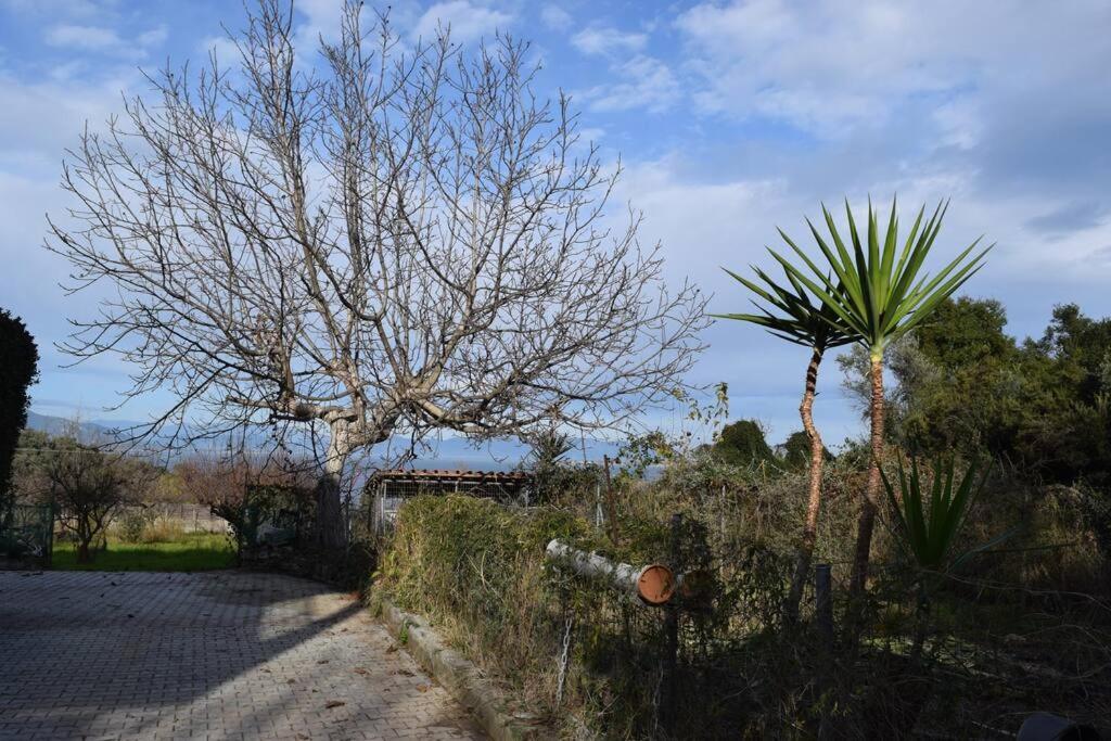 Ολόκληρος Όροφος Αγροτική Οικία Apartment Neos Pirgos Exterior photo